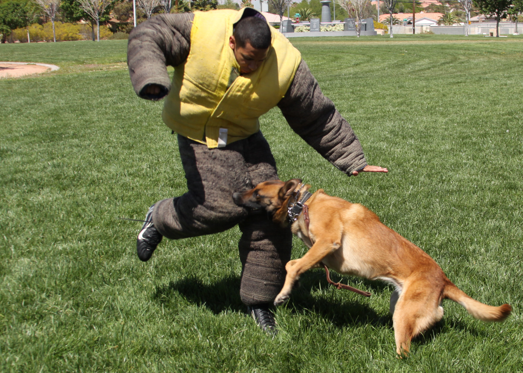 TRAINING YOUR K9 Club K9