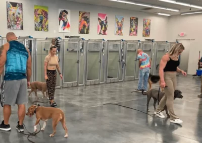 Training Programs Landing Page 8-18 - Club K9