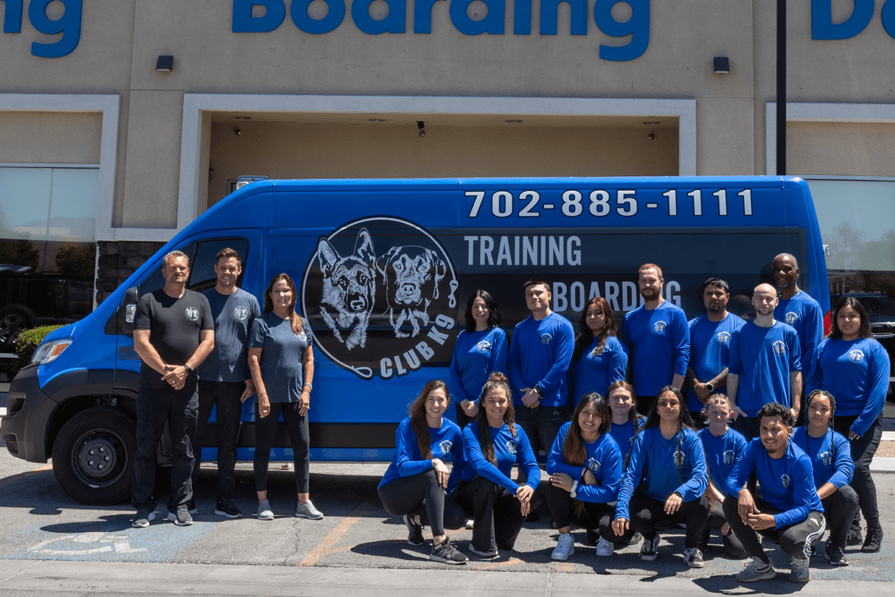 Club K9 Las Vegas Premier K9 Care Facility Dog Boarding Dog