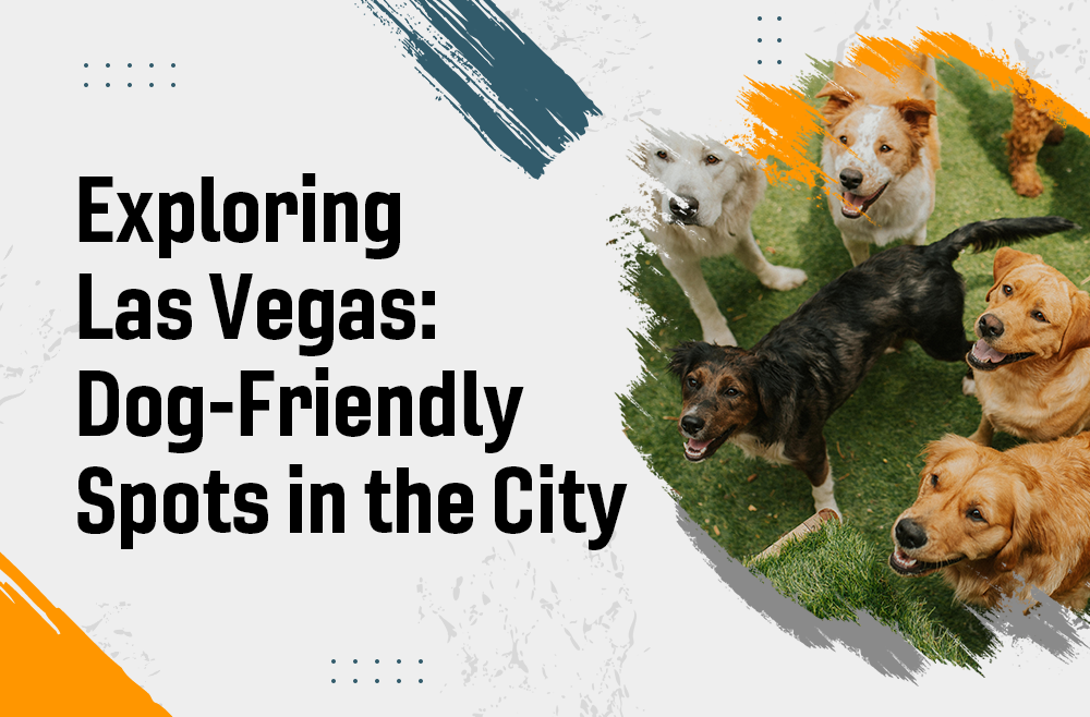 Exploring Las Vegas: Dog-Friendly Spots in the City