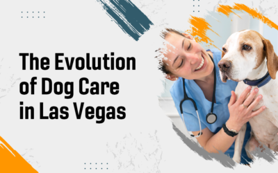 The Evolution of Dog Care in Las Vegas