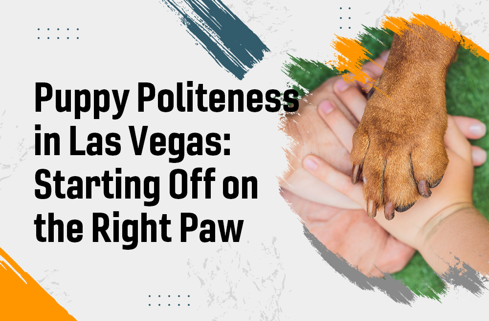 Puppy Training Politeness in Las Vegas: Starting Off on the Right Paw
