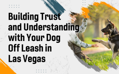 Building Trust and Understanding with Your Dog Off Leash in Las Vegas