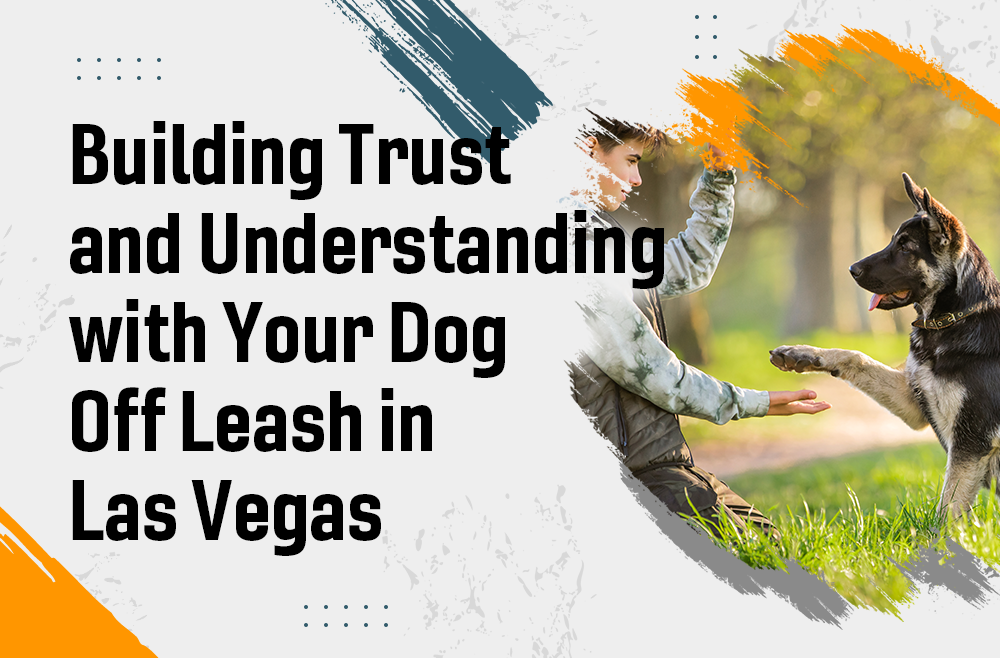 Building Trust and Understanding with Your Dog Off Leash in Las Vegas