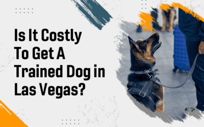 Is it Costly to Get a Trained Dog in Las Vegas?