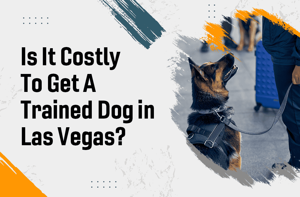 Is it costly to get a trained dog in Las Vegas