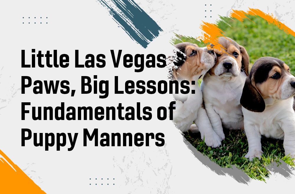 Little Las Vegas Paws, Big Lessons: Fundamentals of Puppy Manners