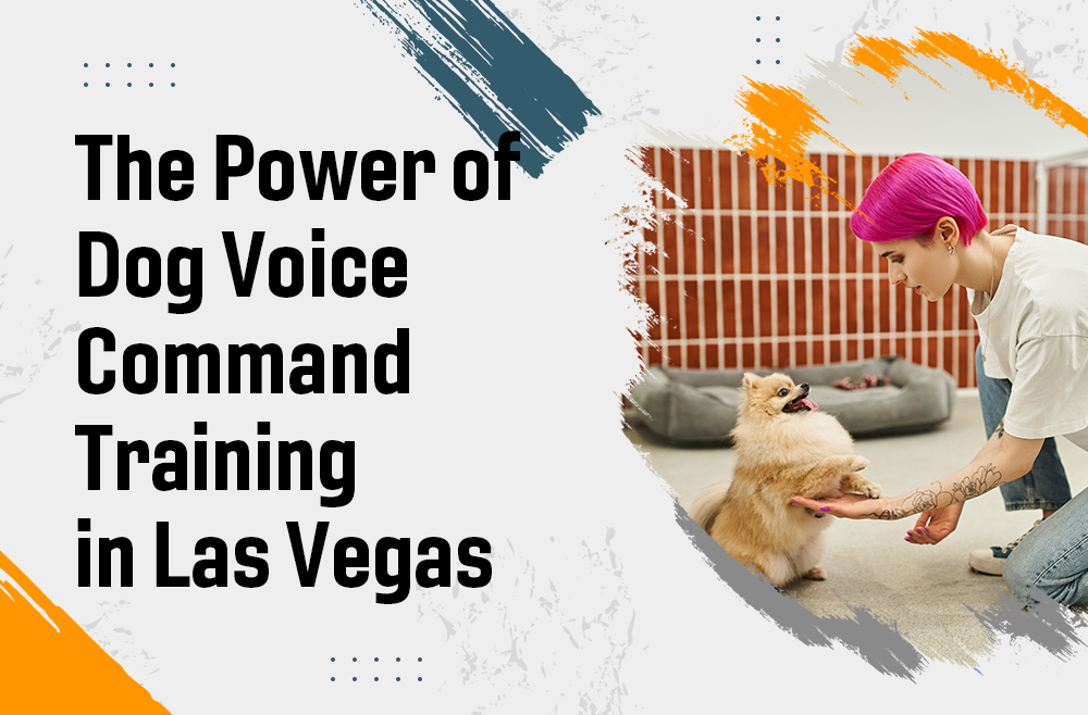 The Power of Dog Voice Command Training in Las Vegas