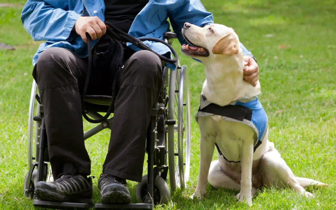 Requirements for a Dog to Become A Service Animal