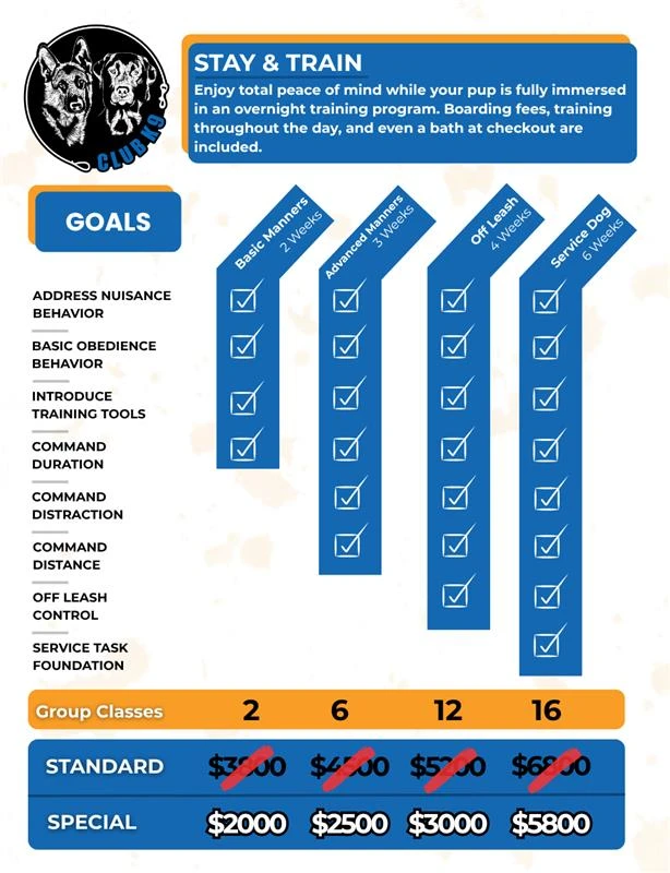 Club K9 Training Pricing flyer