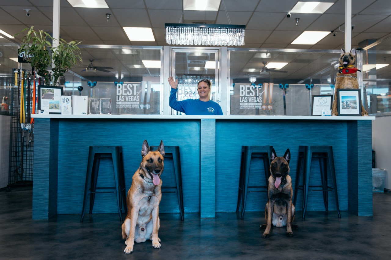 Training Programs Landing Page 8-18 - Club K9