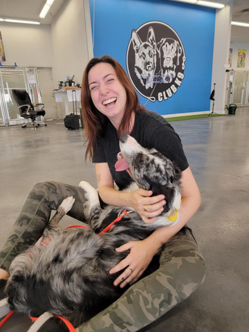 Dog Training Programs - Club K9 Dog Training Programs - Club K9