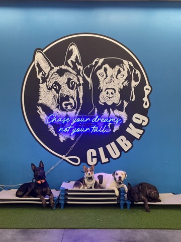 Dog Training Programs - Club K9 Dog Training Programs - Club K9